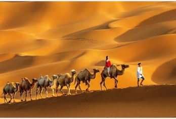 新疆吐鲁番鄯善沙漠火焰山一日游【动车往返+无购物无强制消费】【精品纯玩一日游+特色中餐+贴心接驾送火车站+无购物+无自费推荐】