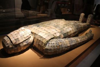 南京博物院 含票 15人小团人工讲解含耳麦︱ 约不上全额退【[资深导游]金牌导游，120分钟深度讲解】