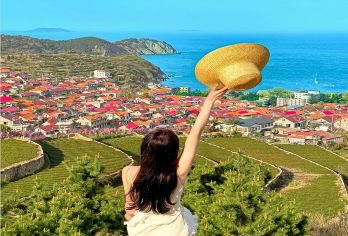 崂山一日游【私家小包团+含门票+上门接送/可升级赶海园】【行程舒适轻松，适合老人孩子，您只需要负责玩玩玩，拍拍拍，吃吃吃哦】