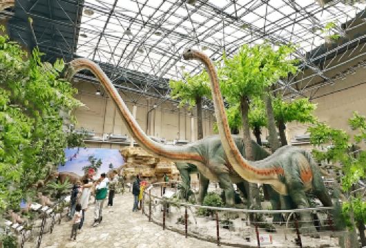 VIP包车国家自然博物馆+八达岭长城一日游【穿越亿万年的时光隧道，触摸恐龙鳞片的温度，聆听远古心跳的回响】