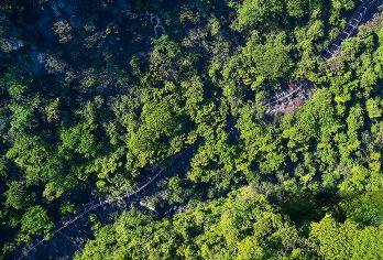 恩施地心谷包车一日游【2-8人私家团/含景交+魔毯/不拼团】【[网红景点]走访400年前茶盐古道，打卡地心谷，游玩时间充足】
