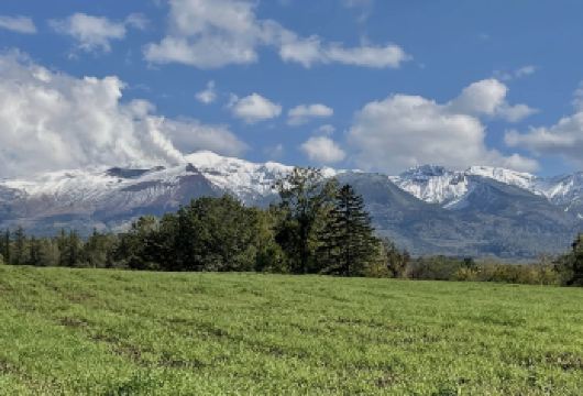 日本北海道札幌-旭山动物园-四季彩之丘【中文专车-悦享旅途】【中文专车出行，景点灵活调整，打卡经典，游玩自己定义，无需等待，专属贴心服务，尽享惬意旅程】