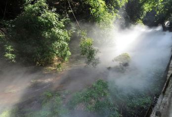 成都川西竹海景区+平乐古镇1日包车游【[（武侯祠+杜甫草堂+宽窄巷子）亲子游、包车游、伴游+讲解。]】