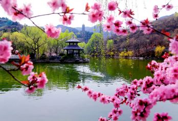 山东济南九如山 定制日游|地陪|导游|包车】JY【私人定制，行程可调，安心自由出行】