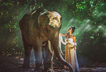 野象谷+曼掌村一日游【亲子路线+多种团型可选+野象寻踪】【[懒人悠游]睡醒再出发，无需赶起，精气神儿开启元气满满的一天】