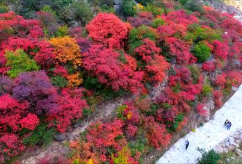 西安郑国渠景区一日游丨2-8人团丨含接送+门票+车费+景交车【小车出行，精品小团，2-8人团，三环内接送，天天发团】