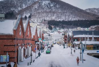 日本北海道-札幌往返-美瑛-富良野-旭川-红叶/冬季必打卡【专业行程定制，精选热门景点，高效游玩不走回头路，贴心服务保障，轻松】
