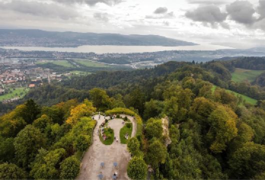 苏黎世包车“半日看城，半日湖山”：苏黎世阳台+老城+玫瑰园【“半日看城，半日看湖山”，既有苏黎世作为国际都市的精致与厚重，又有瑞士乡村的宁静与诗意。】