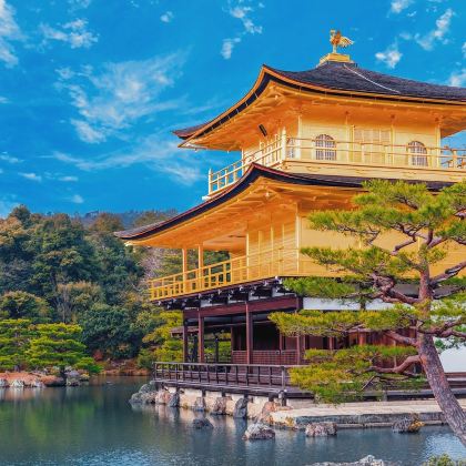 京都古都文化巡礼：京都金阁寺+伏见稻荷大社一日游