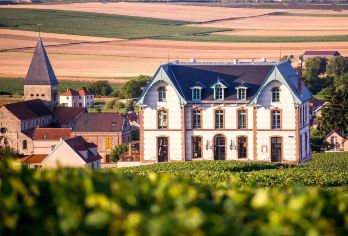 法国香槟庄园葡萄园酒庄一日游【含传统午餐-兰斯出发】【体验香槟中心家族经营酒庄的魅力和真实性】