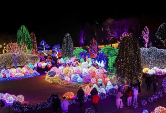 魚飞溪谷冰川X南怡岛X小王子意大利村x五色星光庭园晨静树木园【历年大卖团，五色星光庭园展是韩国晨静树木园冬季著名的灯光节，以五彩缤纷的灯饰点缀广阔园区】