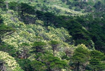 云南大理市+苍山+洱海+双廊一日游【专车服务+行程可调+酒店接送】