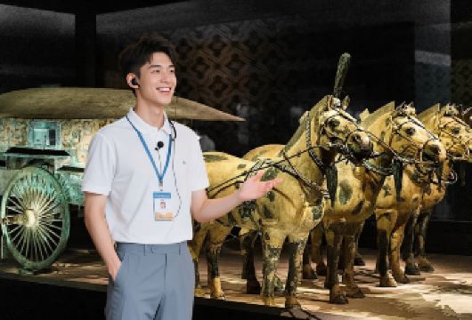 秦始皇【兵马俑】博物馆+丽山园+铜车马一日游【[双园讲解]兵马俑1,2,3号坑+丽山园双讲解，体验历史厚重】