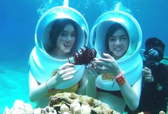 越南富国岛南岛半日游【海底漫步体验 酒店接送 快艇出海】【观赏 255 种珊瑚和独特的海洋生物】