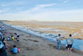 帆船赶海+往返接送+一价全含+赶海抓蟹+常规大团【滩涂赶海：天然牧场让您享渔民赶海的生活乐趣，感受一天渔民生活~】