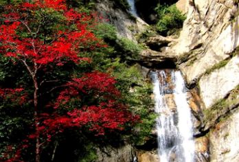 太平国家森林公园一日游【登冰晶顶，观十二瀑，览紫荆海】【瀑舞秦岭，花漾太平 —— 西安后花园，醉美山水间】