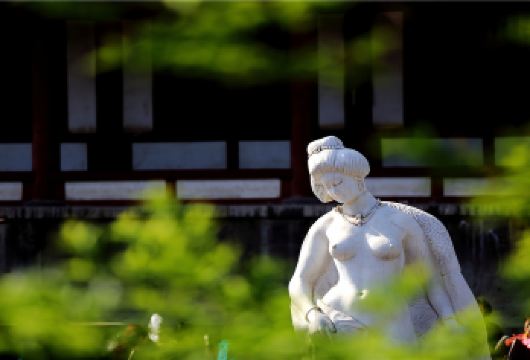 【大团】秦始皇帝陵博物院(兵马俑)+华清宫一日游/1人起订【西安市二环内接早，1位起订，完美出行，专业导游讲解】