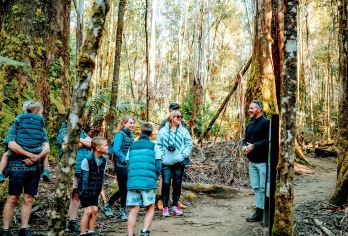 霍巴特出发】波诺朗野生动物保护区＆里奇蒙＆塔斯马尼亚山区之旅【在山顶欣赏令人难以置信的美景】
