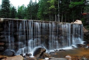 伊春+五营红松景区+汤旺河奇石景区一日游【独立包车、纯玩】【服务保证，携程担保，连续多年携程金牌店铺，年度服务奖。微信管家24小时服务️全程0购物， 品质保障。】