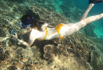 万宁加井岛一日游【纯玩浮潜+可选10人轻奢小团+玻璃船拍照】【服务承诺：纯玩无消费，大团浮潜不限时，不含接送】