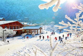 【8人小团.纯玩】金佛山一日游【[品质亮点]：含门票，您不操心繁琐的排队购票事情及等待苦恼，旅游管家为您操办一切，没有后顾之忧】