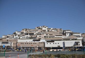 普陀山一日游【观音古洞，普济寺，南海观音，纯玩天天发】【安心出游：宁波舟山均可参团，天天发团】
