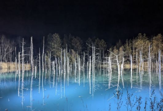 日本北海道札幌-青池-白须瀑布白金神社【中文专车 悦享旅途】【中文专车出行，景点灵活调整，打卡经典，游玩自己定义，无需等待，专属贴心服务，尽享惬意旅程】