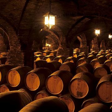 智利圣地亚哥迈坡谷干露酒庄+圣卡罗酒庄【中文包车/行程定制】