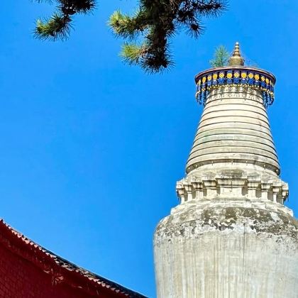 山西五台山一日游【五爷庙许愿·文殊祖庭殊像寺 新增小团选择】
