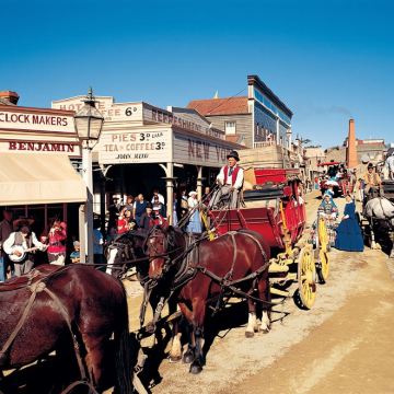 墨尔本疏芬山一日游【圣安娜酒庄丨羊驼农场丨疏芬山金矿丨包车】