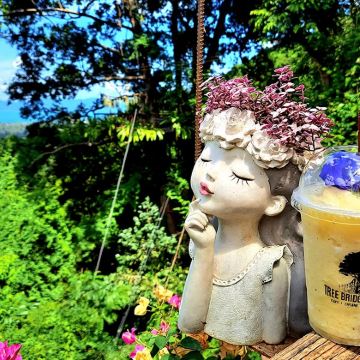 苏梅岛丛林飞跃Tree Bridge Zipline树桥咖啡