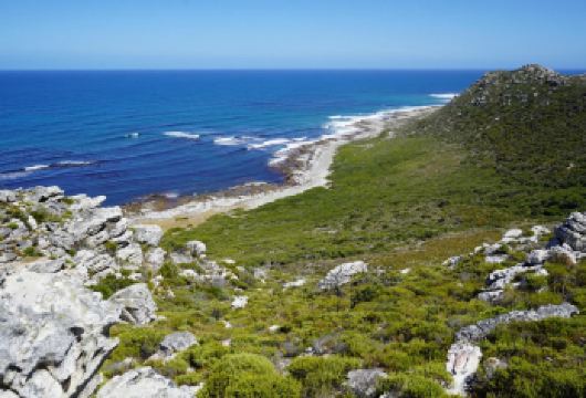 开普敦包车一日游 开普点保护区+滑翔伞体验+大康斯坦夏酒庄【打卡开普点自然保护区，滑翔伞体验，一览开普敦美景】