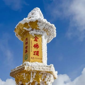 金佛山一日游【2-8人小团丨上门接送丨纯玩无购物】