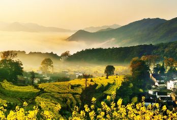 婺源风景区一日游【东线一日 赏花徽派古建筑 纯玩团】【高铁站&婺源县城宾馆免费接送】