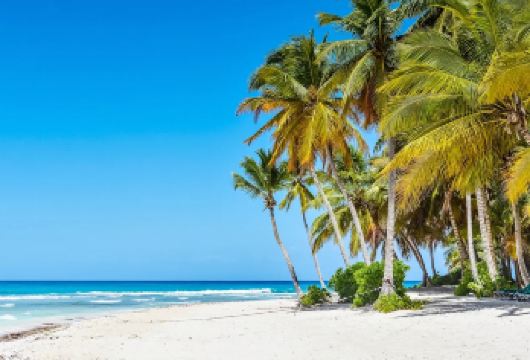 文昌宋氏祖居+东郊椰林风景区+石头公园1日游【精选大团+纯玩【可承接公司、协会等团队团建定制策划】