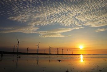 台中+彰化鹿港+高美湿地【台中出发｜包车畅游】【不同于旅行团走固定行程，台中包车一日游能弹性规划路线，尽情畅游全台中热门景点】