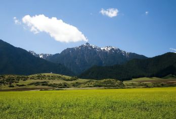 南山牧场+水磨沟风景区+乌鲁木齐文化中心一日游【精品包车游】【[专车接送]专车无忧往返接送】