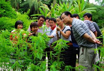 云南中科院植物园导游讲解预约（白天拼团/白天独立团/夜游）【[导游预约]可代订植物园白天讲解（是旅行社正规持证导游，不是植物园官方讲解），产品费用不含植物园门票】