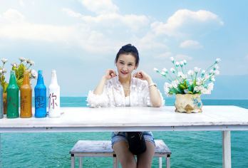 大理三塔+喜洲+双廊+洱海+南诏风情岛一日游【8人纯玩小团】【畅游地标精华景点：三塔、洱海（小游船）、南诏风情岛、双廊、喜洲；】