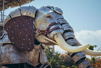 中国科学院西双版纳热带植物园+勐泐文化旅游区一日游丨1单1团【一单一团，2人起订，以实际下单人数安排车型（5座轿车/7座商务车/9座商务车）等】