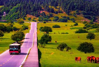 重庆武隆一日游 天坑地缝仙女山一日游 纯玩小团门票周边包车旅【[正规车辆]：规范化服务标准、正规旅游车辆、安全行车更规范。】