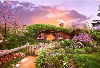 霍比特村+萤火虫洞一日游【小团拼车/包车/含门票/双语司导】【小团拼车/包车出行，单人可拼，两人成团，奥克兰市区免费接送，经济实惠，不容错过景点风景！】