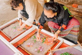 bikego西双版纳野象谷+曼掌村一日游-6人亲子体验小团【[玩转野趣]野生动物、野茶会、原生态傣村，一起撒个野】