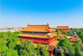 春节游*曲阜孔庙孔府家庭团【金牌导游精讲/纯玩团】【[行程充实]讲解3小时，带您更深入的了解孔子，让您收获满满，不虚此行！】