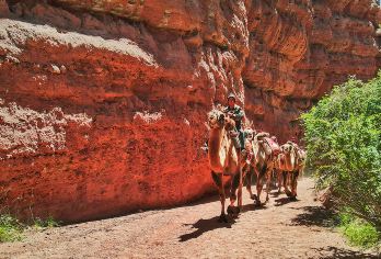 张掖平山湖大峡谷+七彩丹霞旅游景区一日游【纯玩无购物】【无忧旅行轻装上阵，小团出行，自由随心，尽情享受旅途时光！】