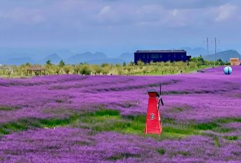 贵州贵阳-天河谭-花溪高坡云顶花海-青岩古镇-花溪夜郎谷#【车接车送，深度体验热门景点，行程景点可调】