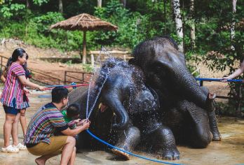 【全岛接送 | 摄影师旅拍】普吉岛芭东拥抱大象保护营一日游 【提供摄影师旅拍，记录美好瞬间。中文讲解，无障碍交流。】