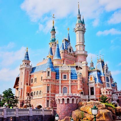 上海迪士尼一日特惠门票【电子票刷身份证入园即可】附赠攻略