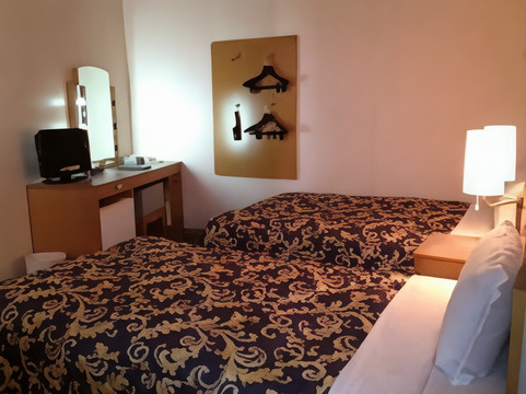 Business Hotal Access主图