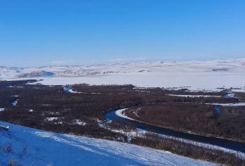 【冬季呼伦贝尔】莫日格勒+黑山头骑马+蒙古族牧户一日游【[2-6人精品舒适小团，无购物，安心游]】